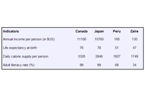 IELTS Table Example